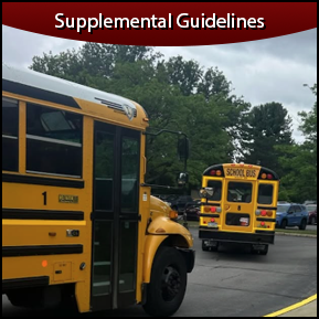 Supplemental Guidelines